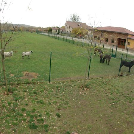 Bungalows Granja Escuela Arlanzon ภายนอก รูปภาพ