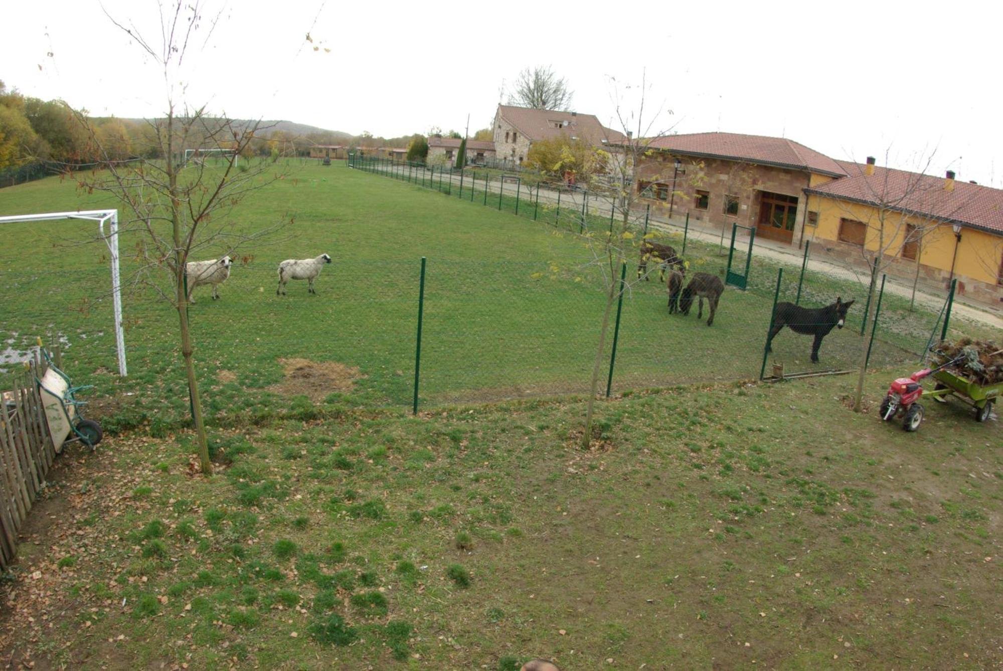 Bungalows Granja Escuela Arlanzon ภายนอก รูปภาพ